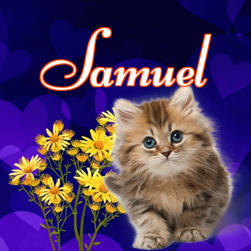 Milutkich słodziutkich snów!。 