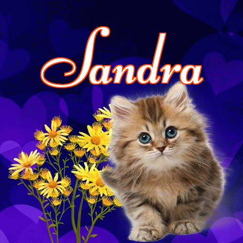 Milutkich słodziutkich snów!。 