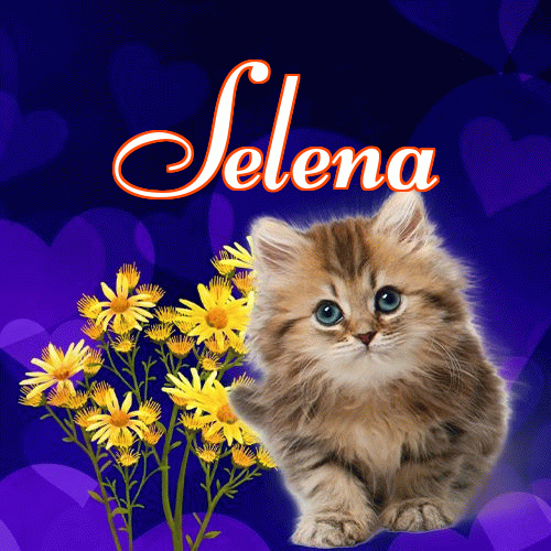 Milutkich słodziutkich snów!。 