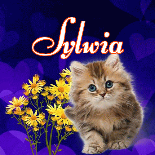 Milutkich słodziutkich snów!。 