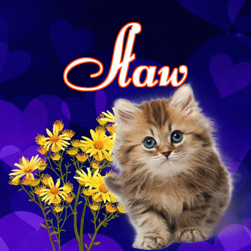 Milutkich słodziutkich snów!。 