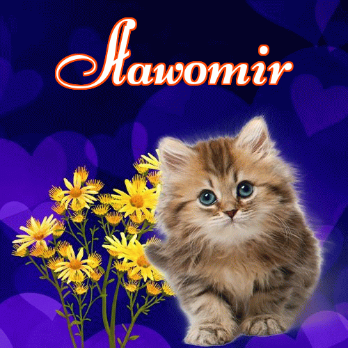 Milutkich słodziutkich snów!。 