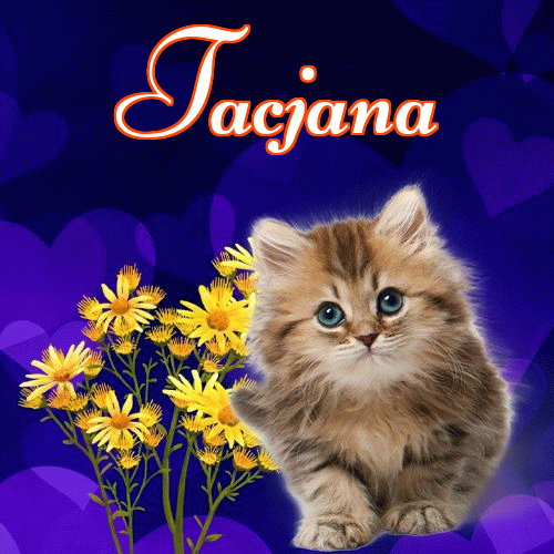 Milutkich słodziutkich snów!。 