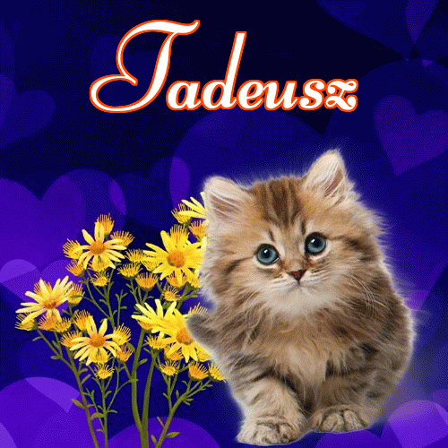 Milutkich słodziutkich snów!。 