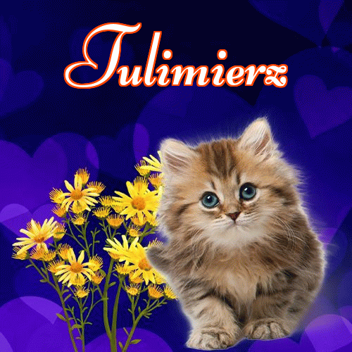 Milutkich słodziutkich snów!。 