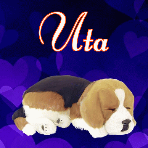 Milutkich słodziutkich snów!。 