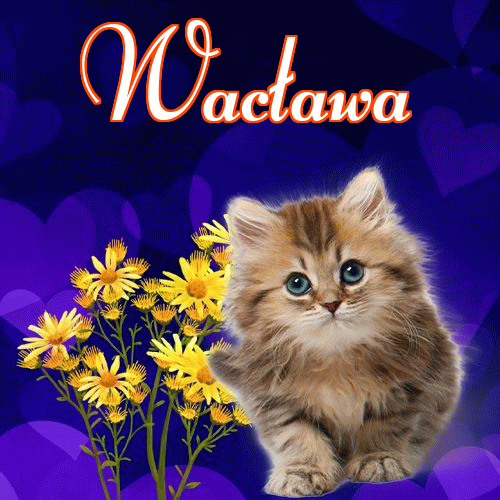 Milutkich słodziutkich snów!。 