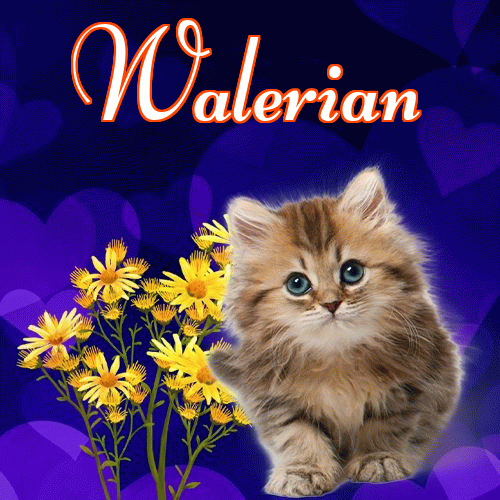 Milutkich słodziutkich snów!。 