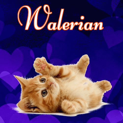 Milutkich słodziutkich snów!。 