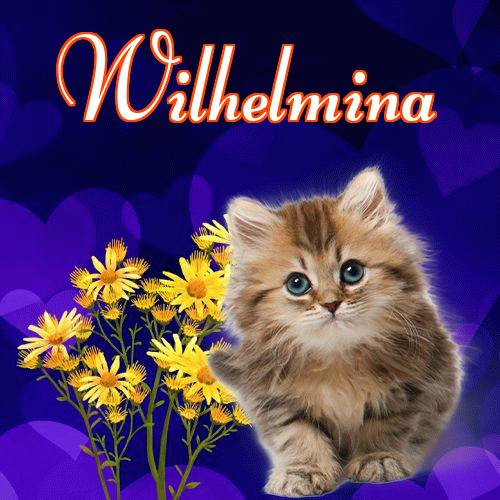 Milutkich słodziutkich snów!。 