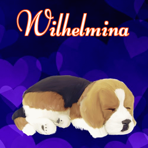 Milutkich słodziutkich snów!。 