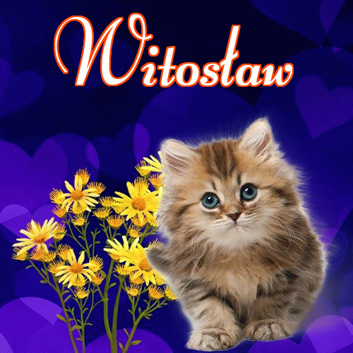 Milutkich słodziutkich snów!。 