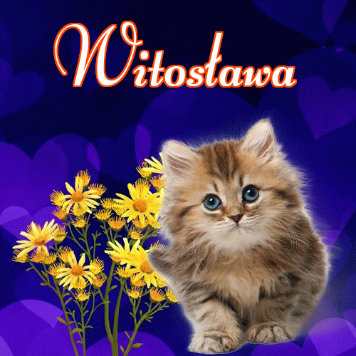 Milutkich słodziutkich snów!。 