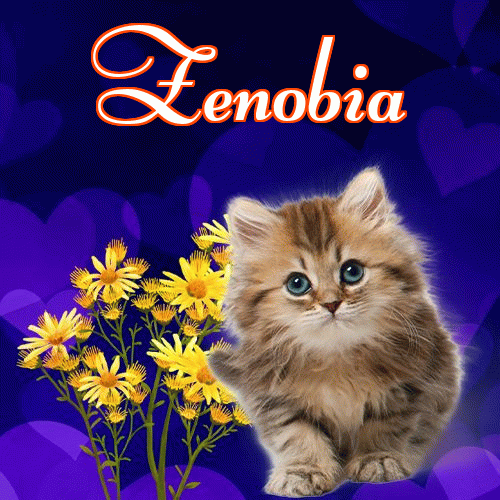 Milutkich słodziutkich snów!。 