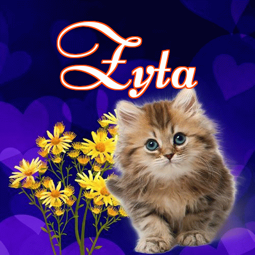 Milutkich słodziutkich snów!。 