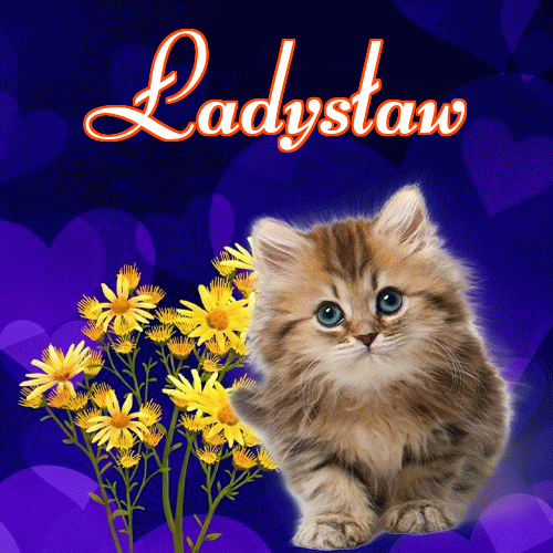 Milutkich słodziutkich snów!。 