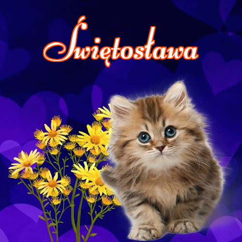 Milutkich słodziutkich snów!。 