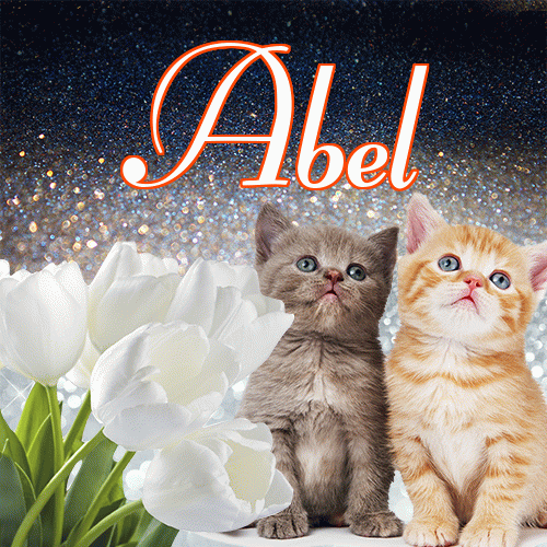 Miłego wieczoru i dobrej nocy życzę!。 