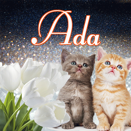 Miłego wieczoru i dobrej nocy życzę!。 