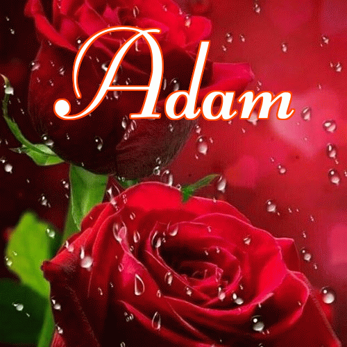 Miłego wieczoru i dobrej nocy życzę!。 