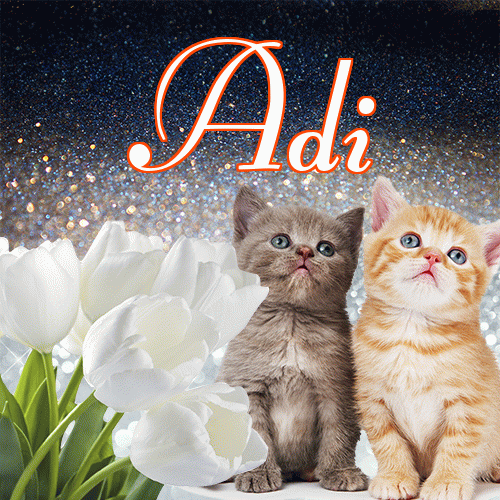 Miłego wieczoru i dobrej nocy życzę!。 