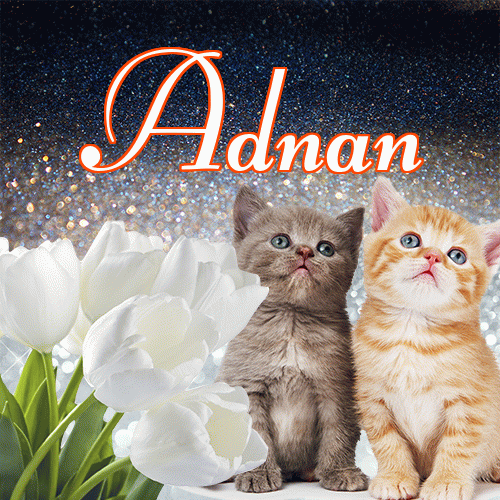 Miłego wieczoru i dobrej nocy życzę!。 