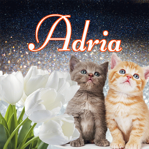 Miłego wieczoru i dobrej nocy życzę!。 