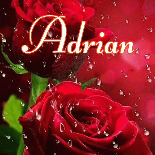 Miłego wieczoru i dobrej nocy życzę!。 