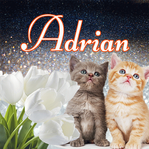 Miłego wieczoru i dobrej nocy życzę!。 