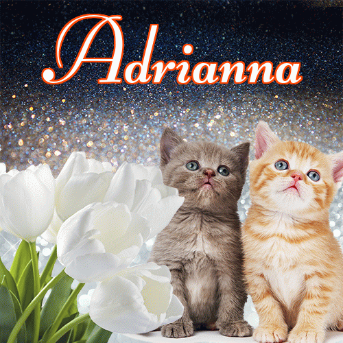 Miłego wieczoru i dobrej nocy życzę!。 