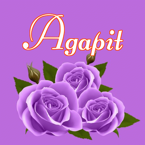 Miłego wieczoru i dobrej nocy życzę!。 