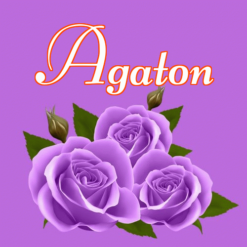 Miłego wieczoru i dobrej nocy życzę!。 