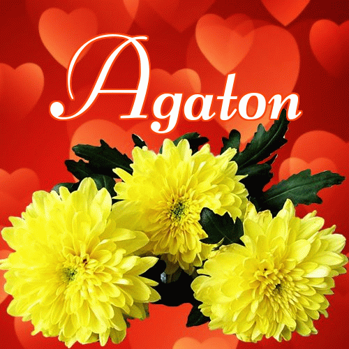 Miłego wieczoru i dobrej nocy życzę!。 