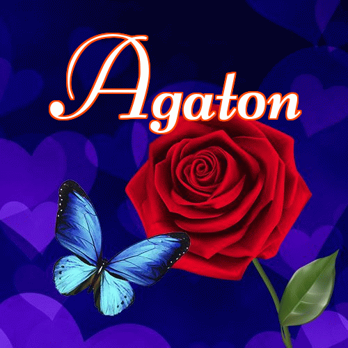 Miłego wieczoru i dobrej nocy życzę!。 