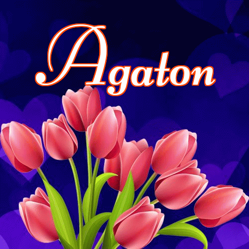 Miłego wieczoru i dobrej nocy życzę!。 