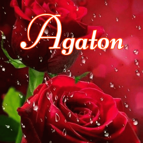 Miłego wieczoru i dobrej nocy życzę!。 