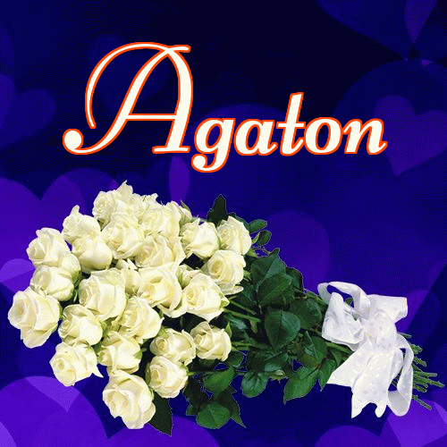 Miłego wieczoru i dobrej nocy życzę!。 