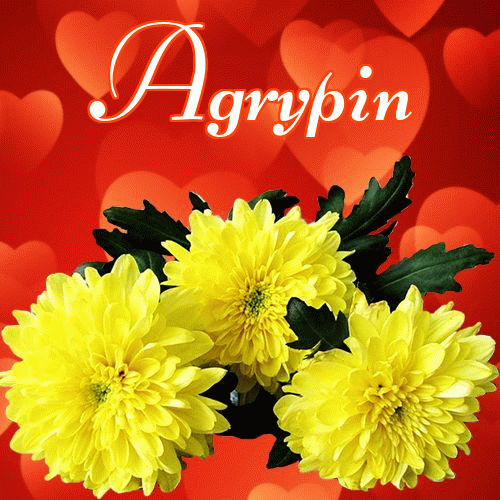 Miłego wieczoru i dobrej nocy życzę!。 