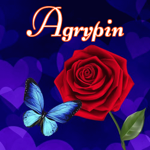 Miłego wieczoru i dobrej nocy życzę!。 