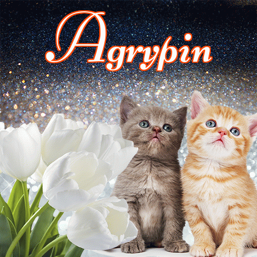 Miłego wieczoru i dobrej nocy życzę!。 