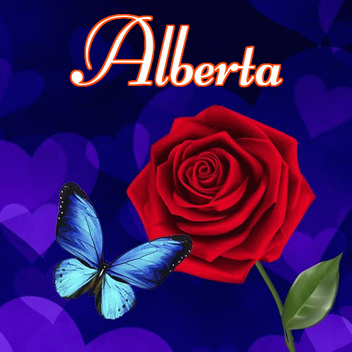 Miłego wieczoru i dobrej nocy życzę!。 