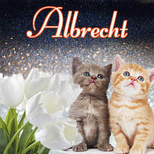 Miłego wieczoru i dobrej nocy życzę!。 