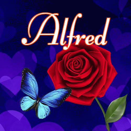 Miłego wieczoru i dobrej nocy życzę!。 