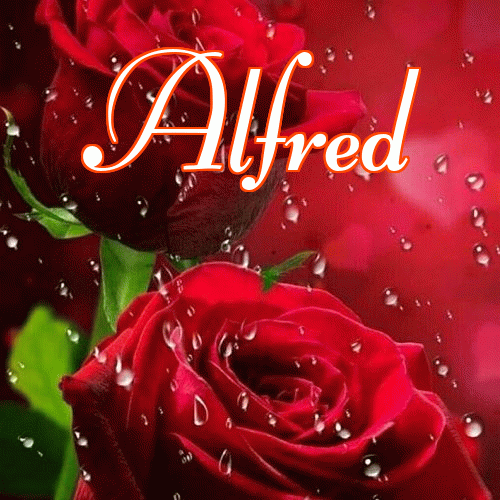 Miłego wieczoru i dobrej nocy życzę!。 