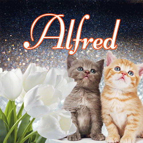 Miłego wieczoru i dobrej nocy życzę!。 