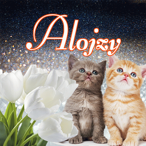 Miłego wieczoru i dobrej nocy życzę!。 