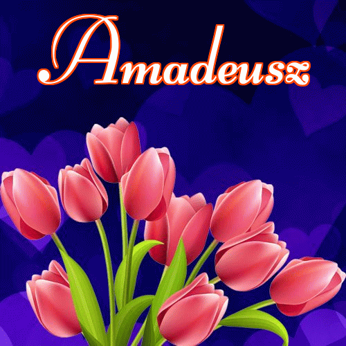 Miłego wieczoru i dobrej nocy życzę!。 