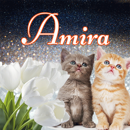 Miłego wieczoru i dobrej nocy życzę!。 