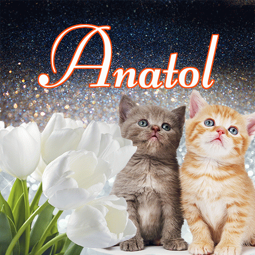 Miłego wieczoru i dobrej nocy życzę!。 