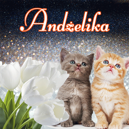 Miłego wieczoru i dobrej nocy życzę!。 